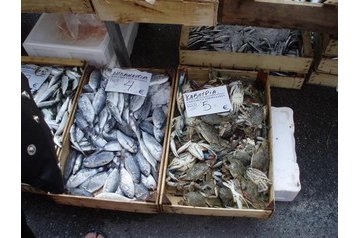 Grèce Privát Katerini, Extérieur